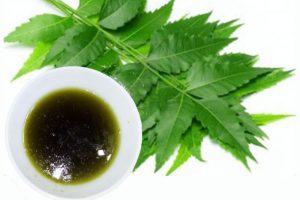 Neem Oil