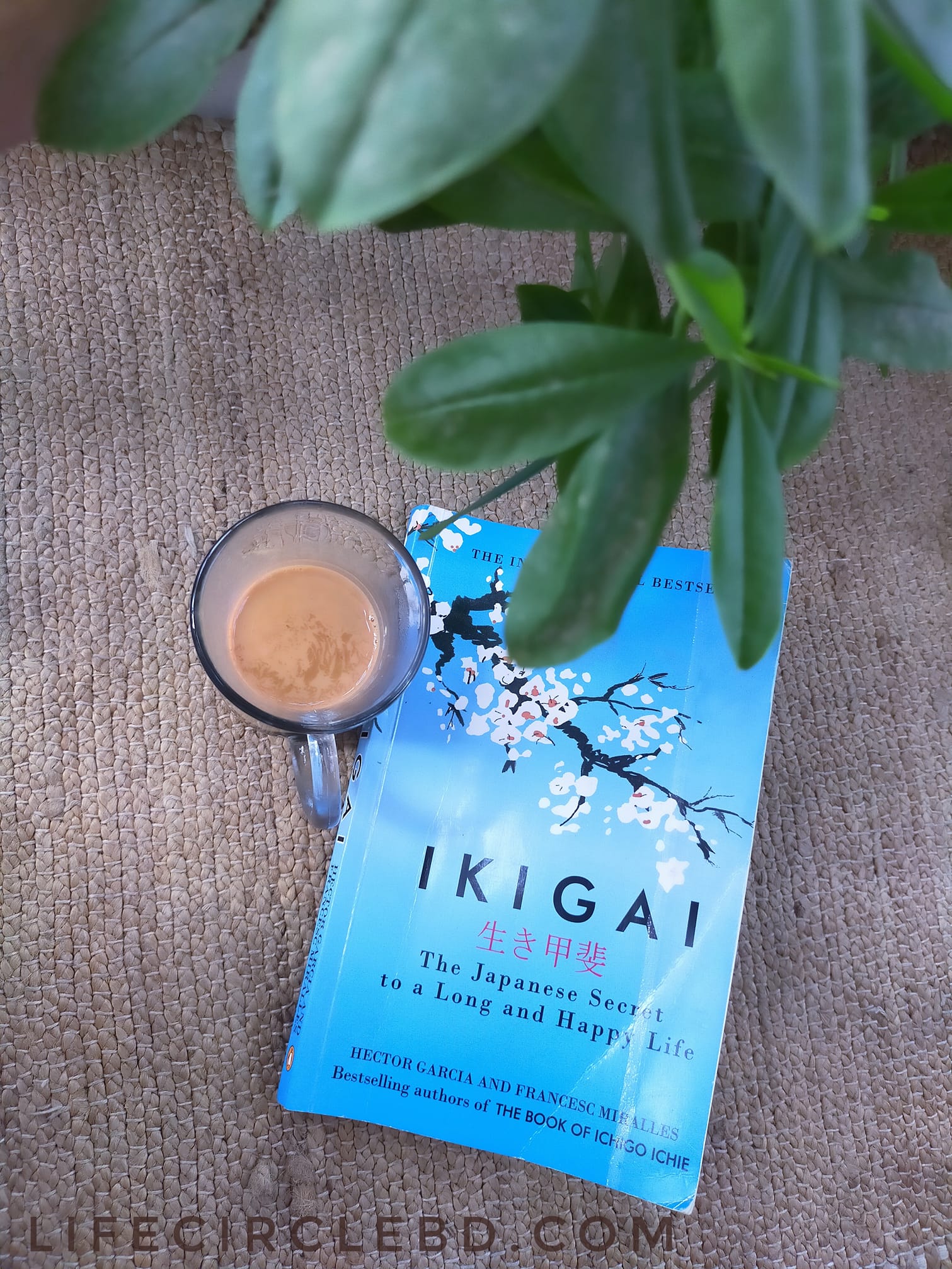 ইকিগাই বই