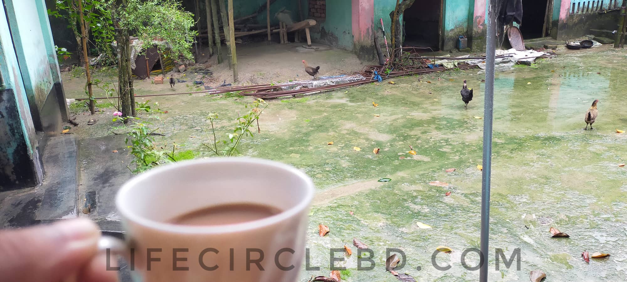 মায়ের বাড়ীর উঠান