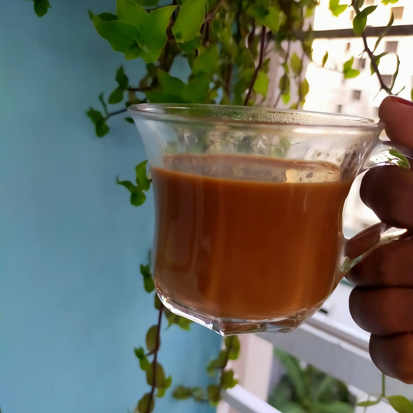 পরিবারের নিয়মানুবর্তিতা